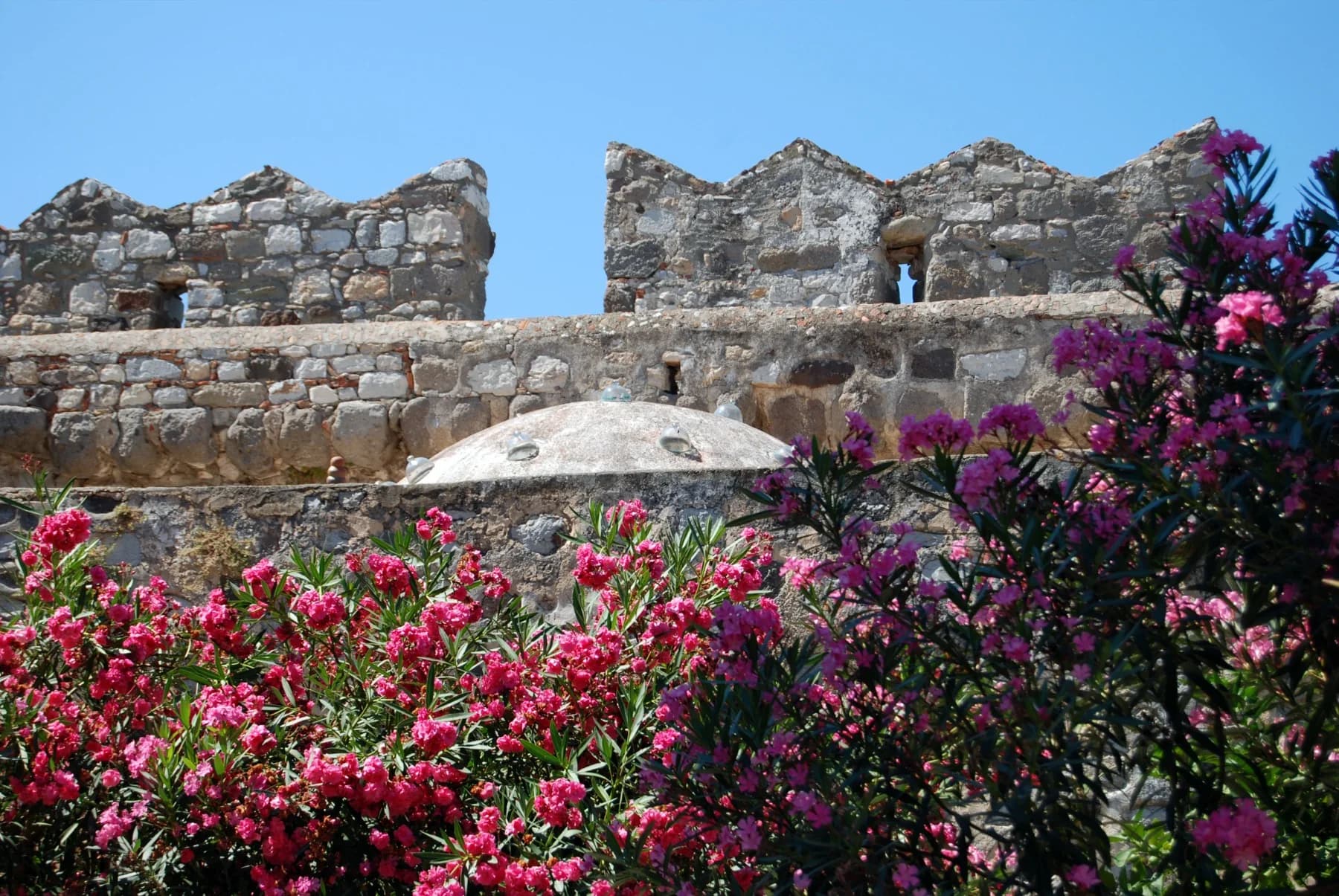 Bodrum Weekly News (21-27 February 2026): Safety, Environment, Community, Culture and Sport