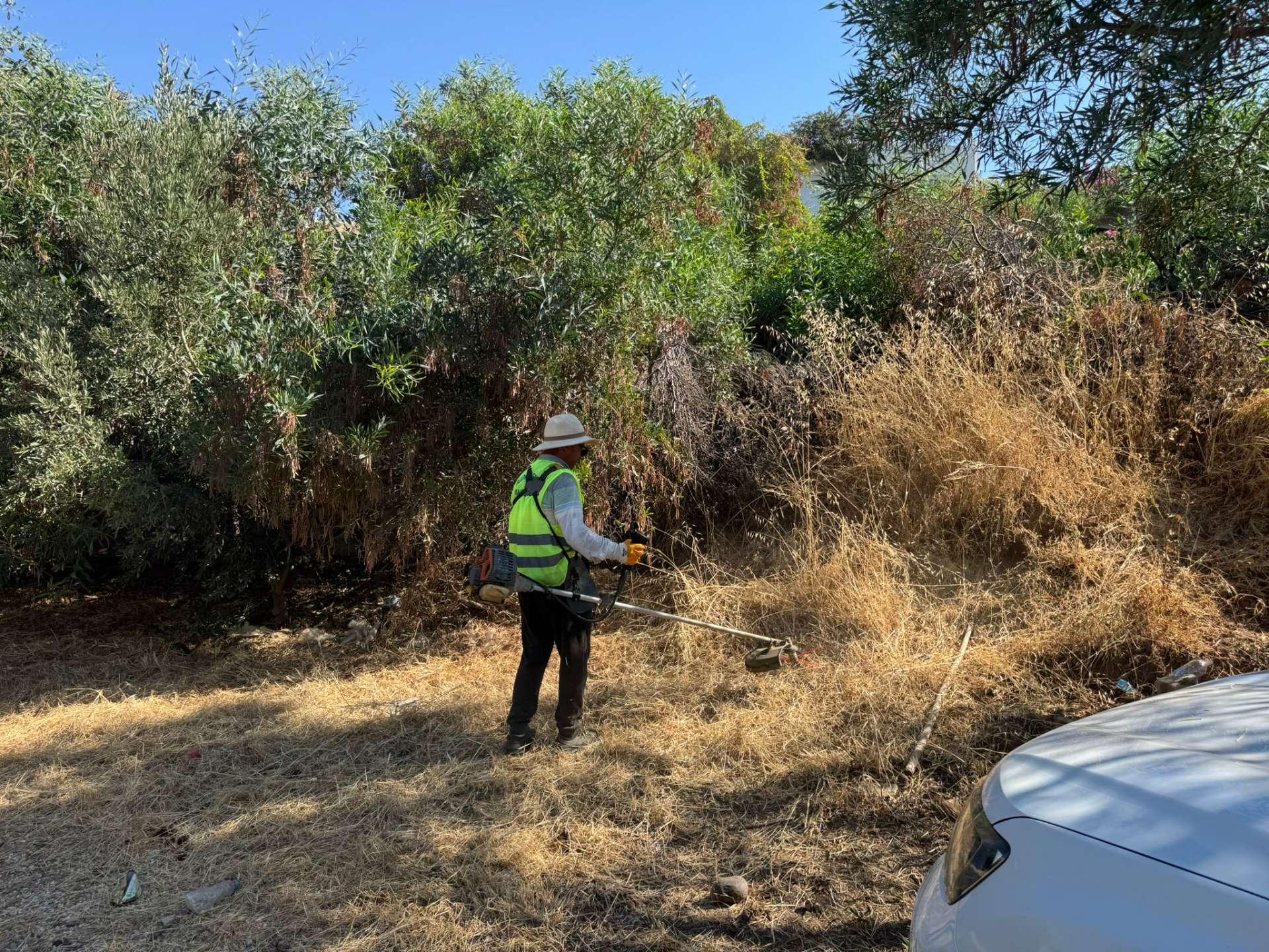 Gemeinde Bodrum räumt knapp 184.000 Quadratmeter Grünfläche im Kampf gegen Waldbrandgefahr